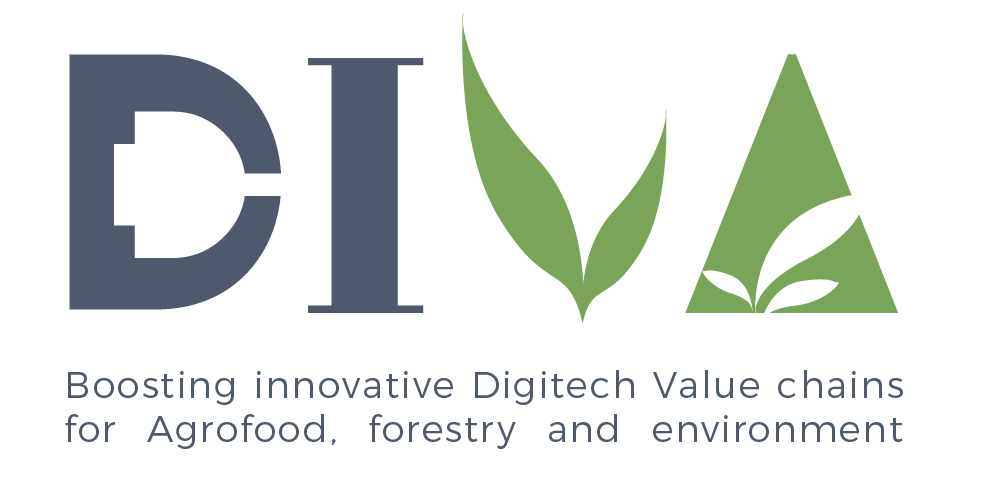 Logo DIVA